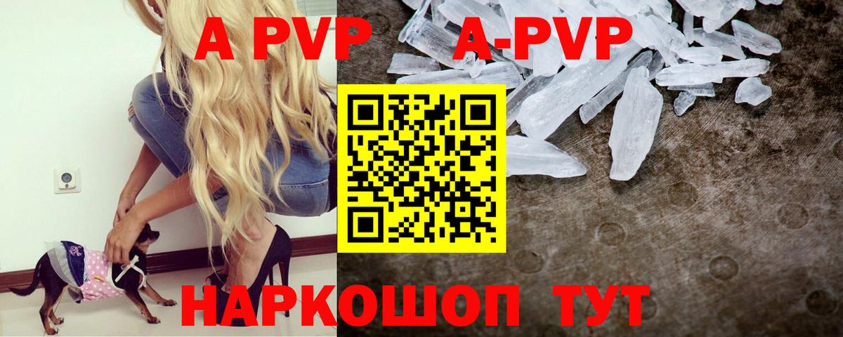 Альфа ПВП СК Кудрово