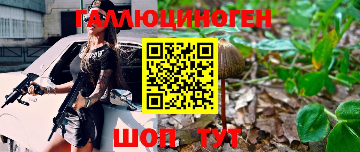 Псилоцибиновые грибы Magic Shrooms Кудрово
